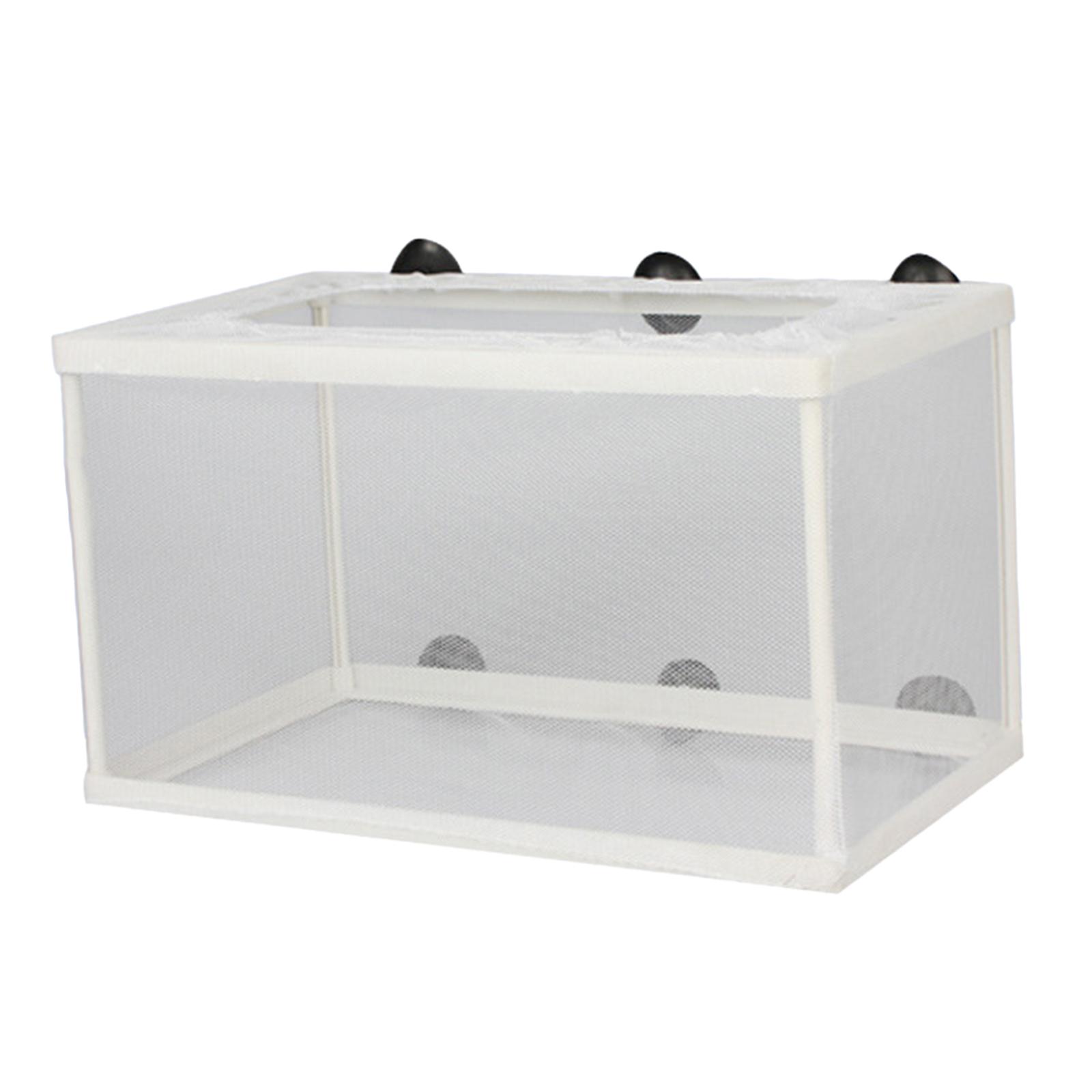 Lab Incubator - Fish Breeder Box Separation Juvenile Spawning