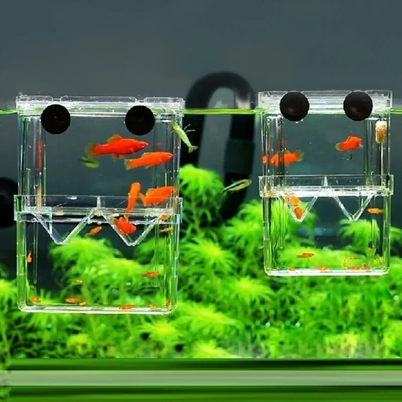 Multifunctional Fish Aquarium  - Lab Incubator 评论和价格