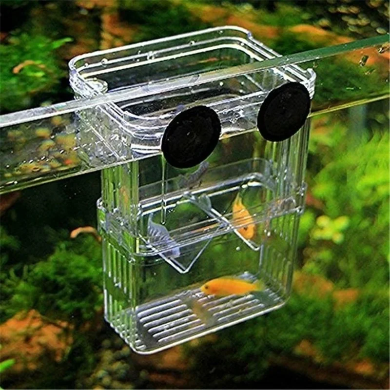 Multifunctional Fish Aquarium  - Lab Incubator 评论和价格