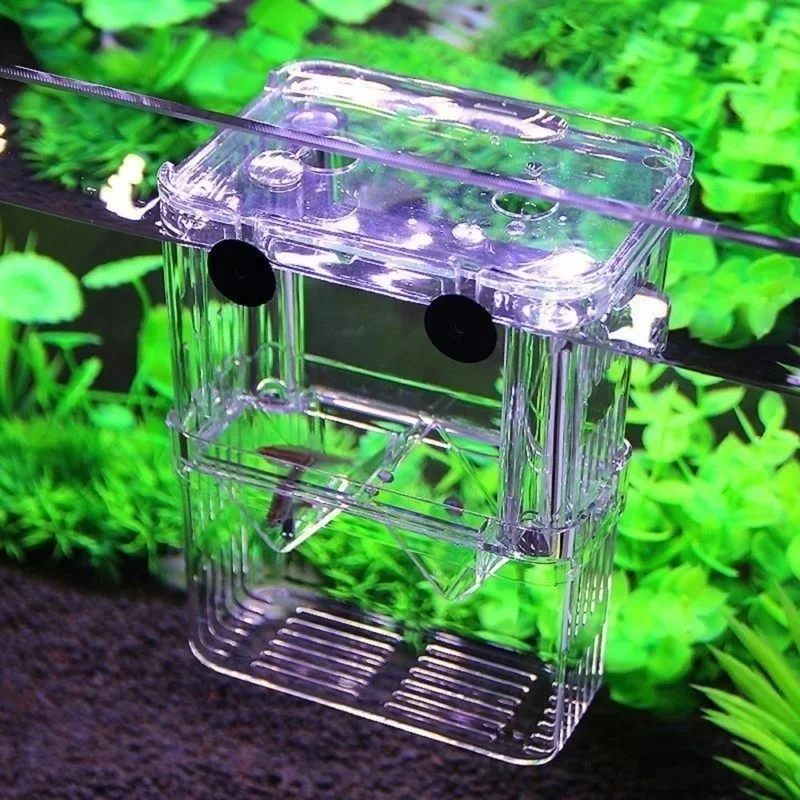 Multifunctional Fish Aquarium  - Lab Incubator 评论和价格